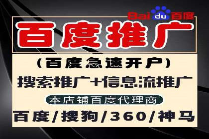 谷歌竞价实战：数据分析与优化技巧